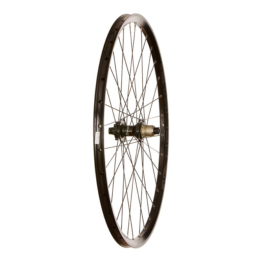 Bicycle Wheels